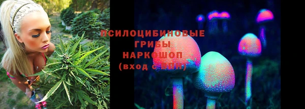 таблы Богданович