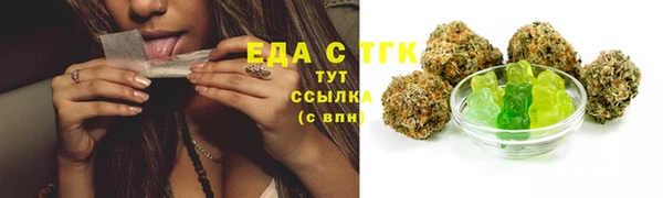 гашик Богородск